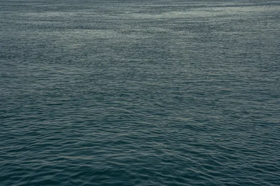 קזינו ג'קפוט מולי תמיכה